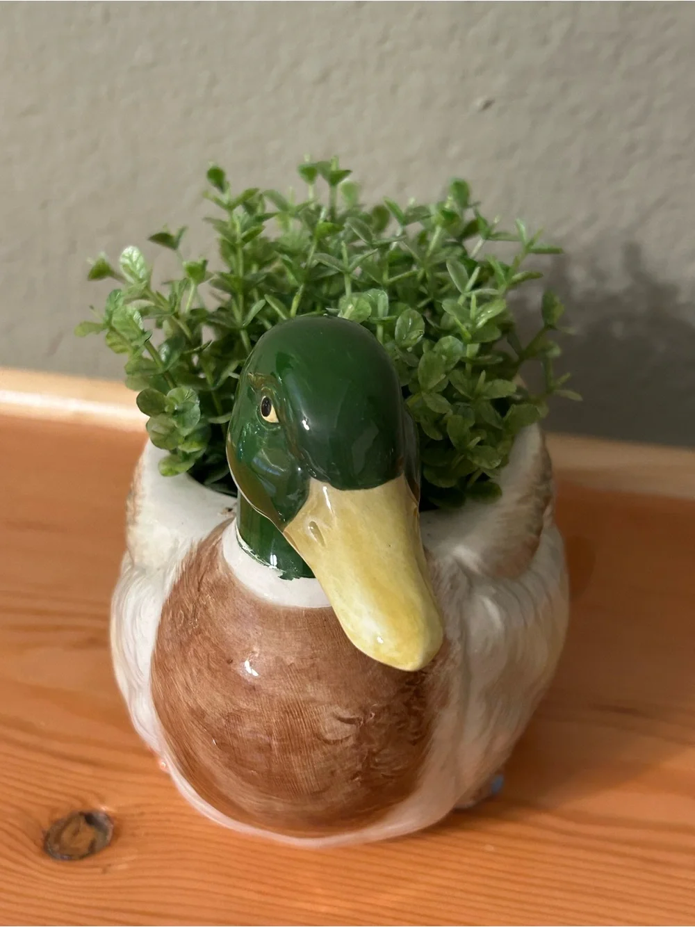 Otagiri Ceramic Mallard Duck Planter in Green, Brown, White